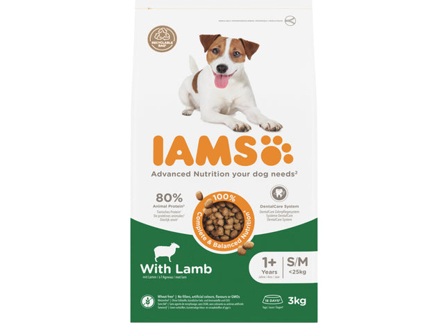 IAMS Advanced nutrition dog with lamb 1+