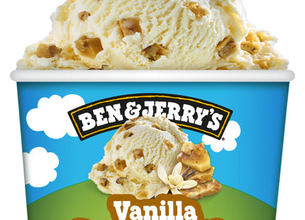 Ben & Jerry's Vanilla pecan brittle