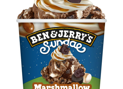 Ben & Jerry's Marshmallow & s'more