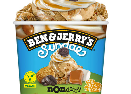 Ben & Jerry's Non-dairy caramel café  Dutchshopper