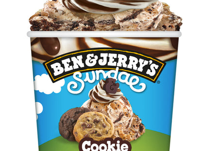 Ben & Jerry's Cookie vermont-ster  Dutchshopper