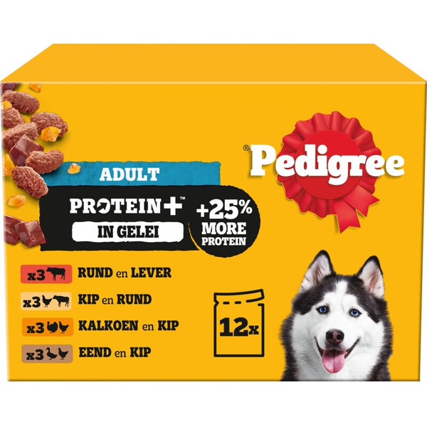 Pedigree Adult protein+ selectie in gelei