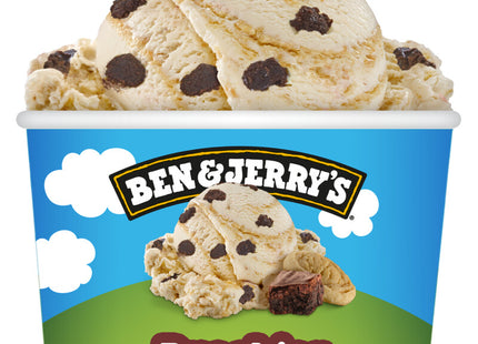Ben & Jerry's Brookies