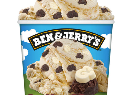 Ben & Jerry's Brookieees and cream
