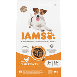 IAMS Adult with fresh chicken 1+ jaar