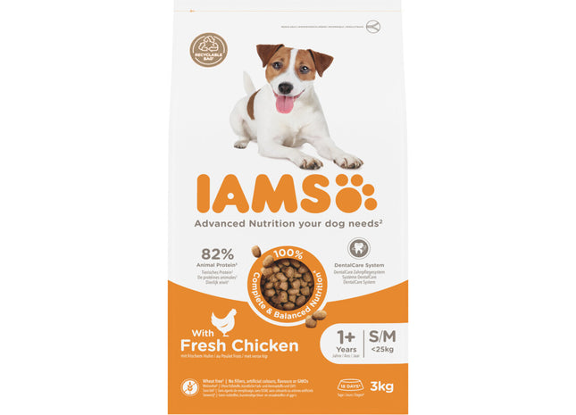 IAMS Adult with fresh chicken 1+ jaar
