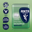 Anta Flu Eukalyptus-Menthol extra stark