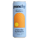 Punchy Everyday Blueberry Hydration