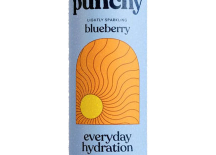 Punchy Everyday hydration blueberry