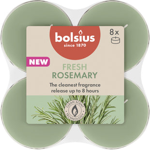 Bolsius Maxilichten 8u true scents rozemarijn