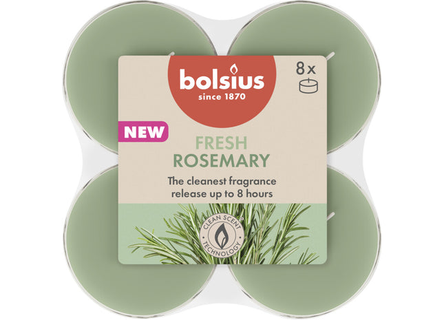Bolsius Maxilichten 8u true scents rozemarijn