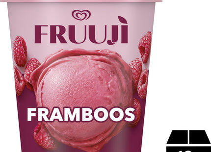 Ola Fruuji fruit sorbetijs framboos