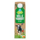 Biologischer Volljoghurt