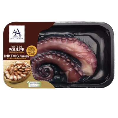 Squid
