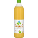 Biologischer Sirup Ingwergeschmack