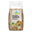 Biologischer Dreifarbiger Quinoa