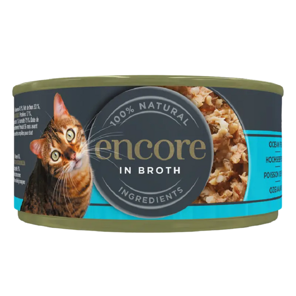 Encore Ocean fish