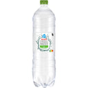 Sparkling water pear cactus