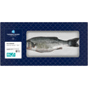 Visspecialist Hele zeebaars