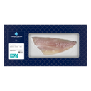 Visspecialist Yellow tail