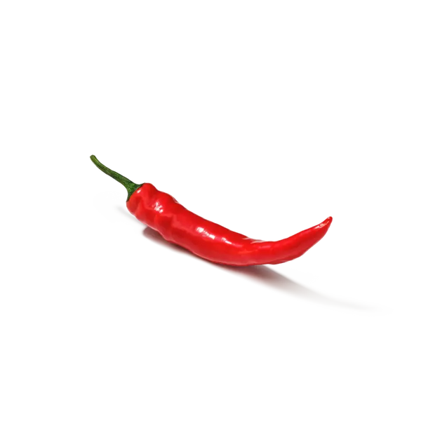Red chili pepper