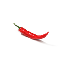 Red chili pepper