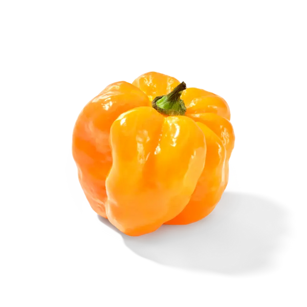 Adjuma pepper