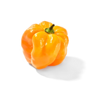 Adjuma pepper