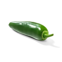 Grüne Jalapeño-Schote