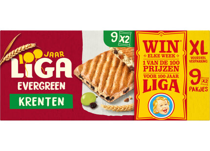 Liga Immergrüne Johannisbeeren XL