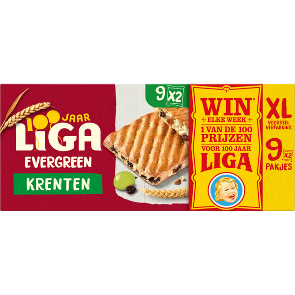 Liga Evergreen currant XL