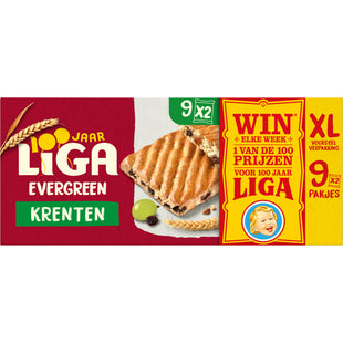 Liga Immergrüne Johannisbeeren XL