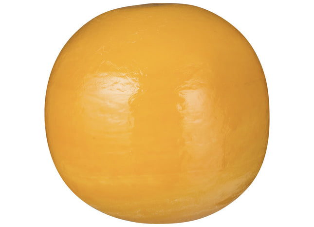 Edam Jong 40+ bol  Dutchshopper