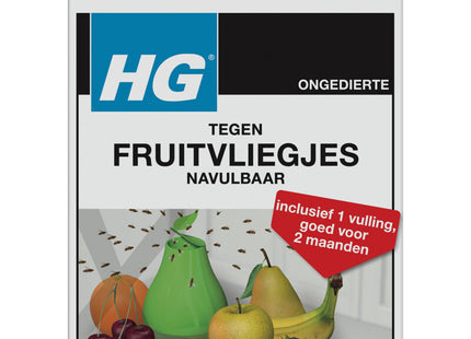 HG Fruit fly trap