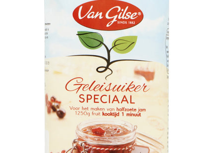 Van Gilse Geleisuiker speciaal