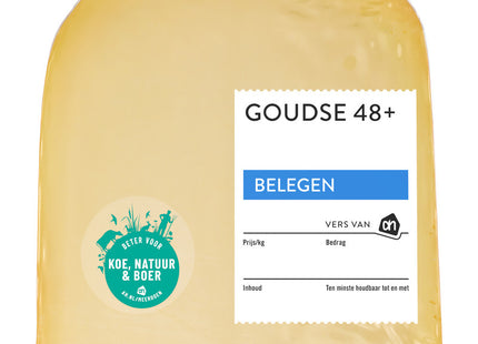 Goudse belegen 48+ stuk