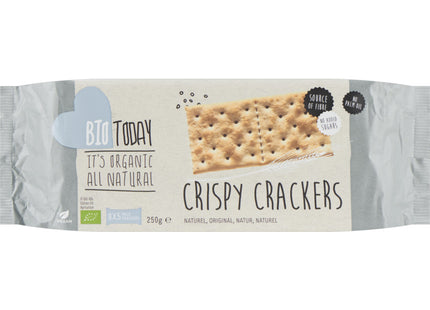 BioToday Crispy crackers