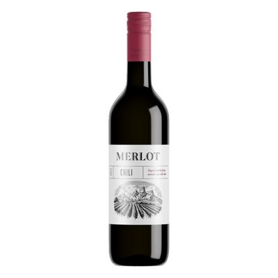 Merlot (Chile)