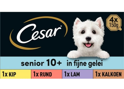 Cesar Dog food senior 10+ years