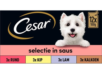 Cesar Pouches in dog food sauce