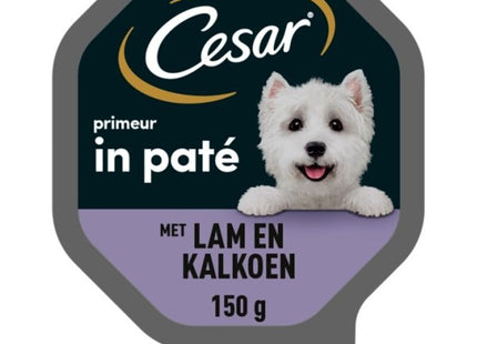 Cesar Primeur in pat lam en kalkoen