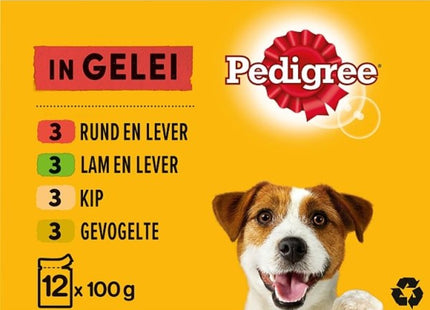 Pedigree Adult in jelly 12-pack