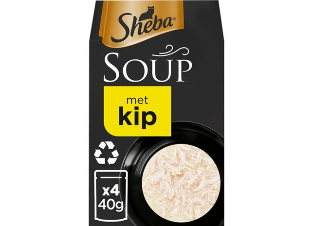 Sheba-Suppe mit Hühnchen