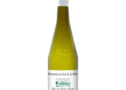 Le Fief de la Brie Muscadet Sevre et Maine