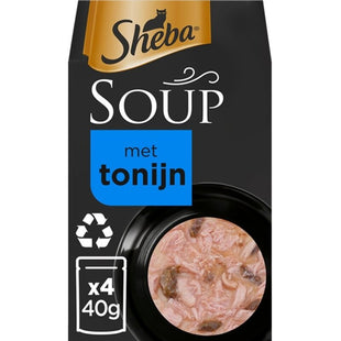 Sheba-Suppe mit Thunfisch