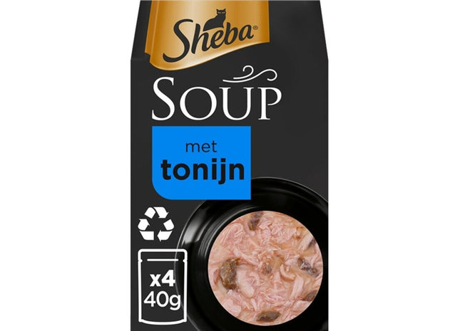 Sheba-Suppe mit Thunfisch