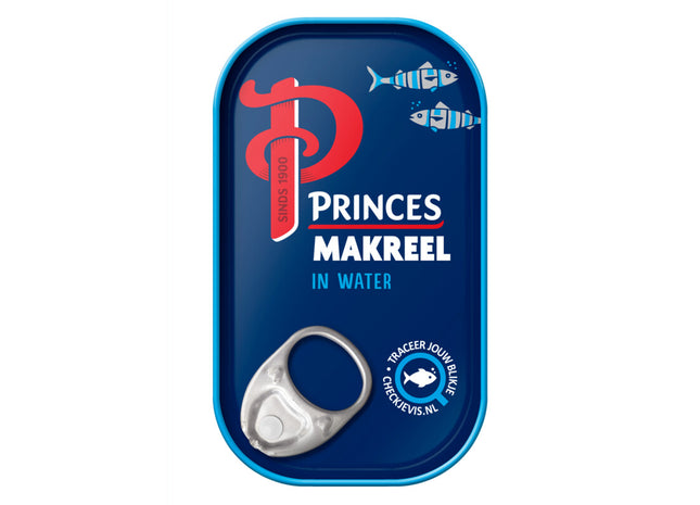 Prinzenmakrele im Wasser