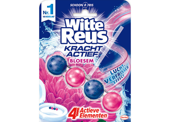 Witte Reus Kracht actief bloesem