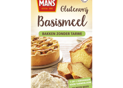Koopmans Gluten-free basic flour