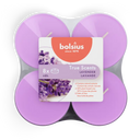 Bolsius True Scents Lavendel